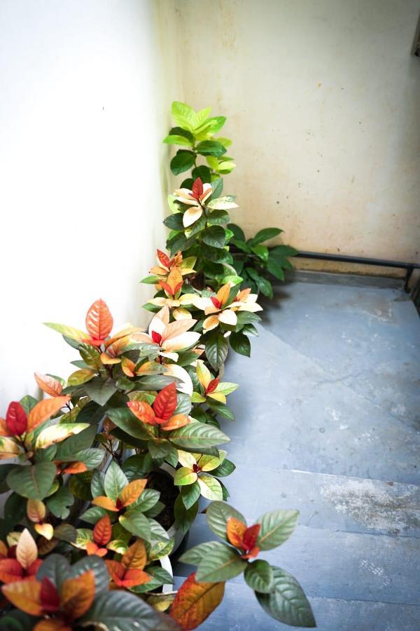 The Bbc Cheliyan Villa Kandy Exteriér fotografie